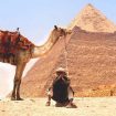 camel-926435_1920