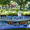 062723_NativePlantSale_Submitted