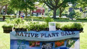 062723_NativePlantSale_Submitted