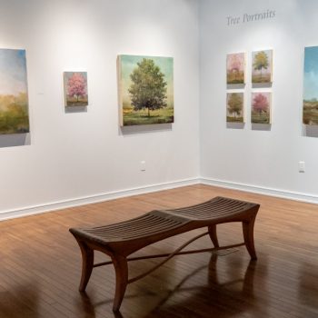 062425_TreePortraits_DM_02