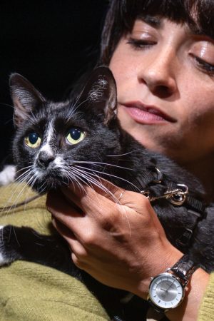 082025_Witnesses_DM_CAT
