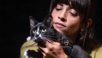 082025_Witnesses_DM_CAT