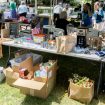 071926_UpcycleCHQ_SH034