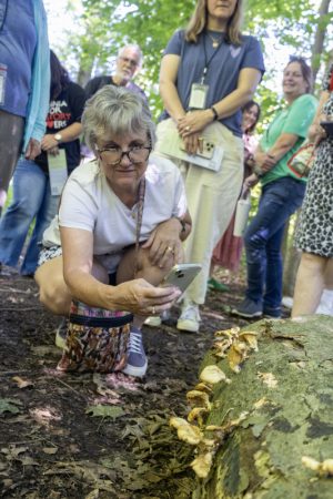 080426_MushroomWalk_GM_008