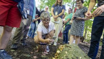 080426_MushroomWalk_GM_008
