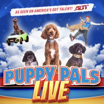 080426_PuppyPalsLive