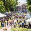 081526_FoodFest_File_DM_01