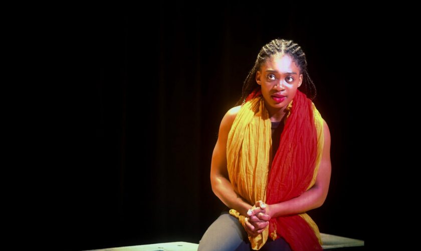 one woman show (2)